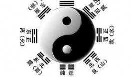 圈内八卦爆料详解,重磅八卦爆料，真相大起底！